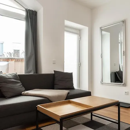 Gewoelbewohnung Mit Terrasse Apartment Dresden