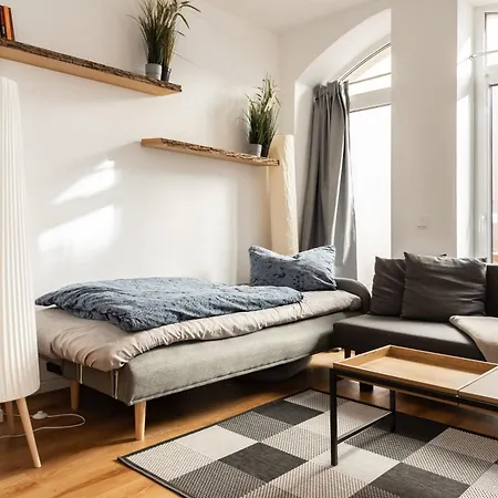 Apartment Gewoelbewohnung Mit Terrasse Dresden