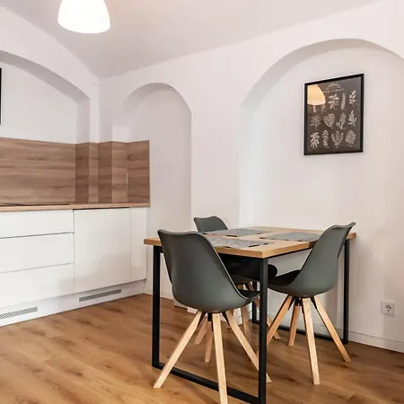 Apartment Gewoelbewohnung Mit Terrasse Dresden