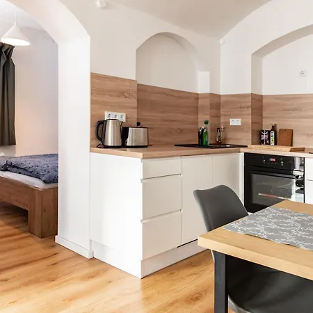 Gewoelbewohnung Mit Terrasse Apartment *