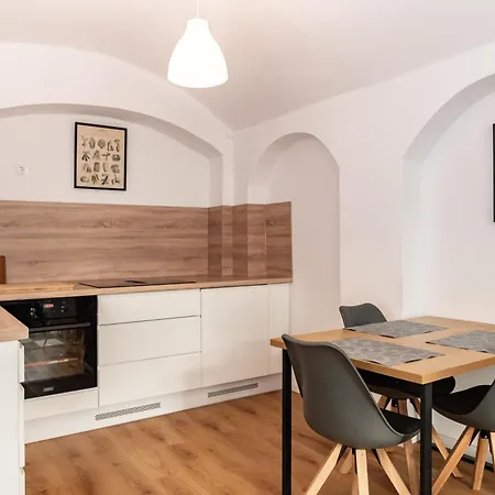 Apartment Gewoelbewohnung Mit Terrasse Dresden