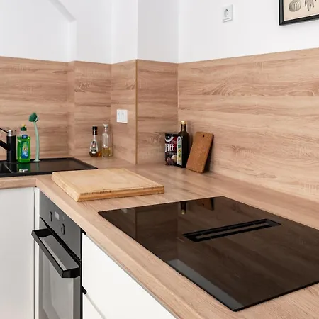 Gewoelbewohnung Mit Terrasse Apartment Dresden
