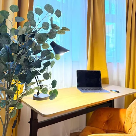 Apartment Citywohnung Dresden
