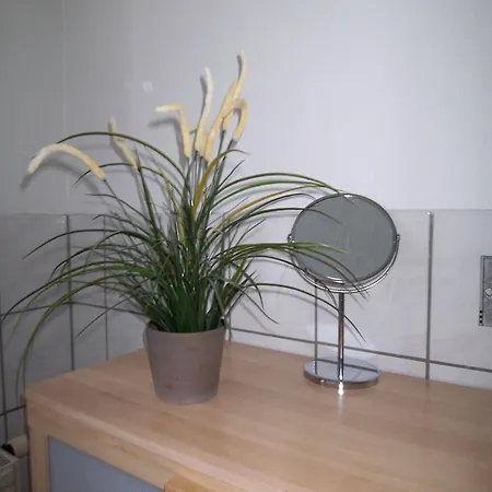 Ambiente-An-Der-Elbe-Wohnung-Og Apartment Dresden
