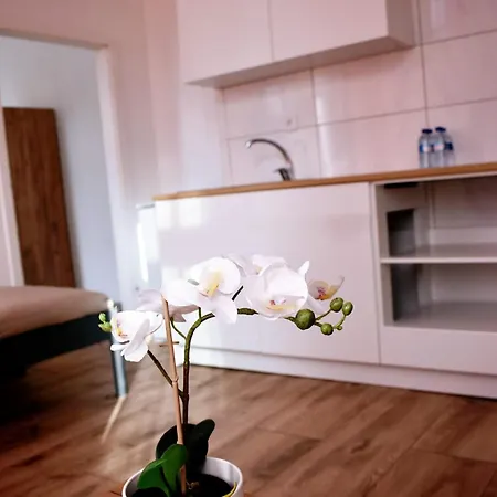 New Town Hotel *