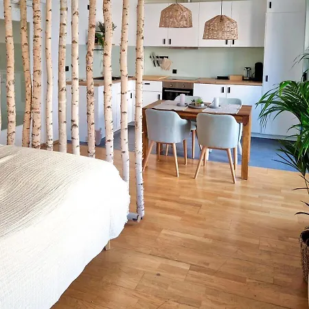 Grosszuegiges Studio-apartment Apartment *