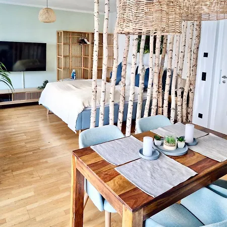 Grosszuegiges Studio-apartment Dresden