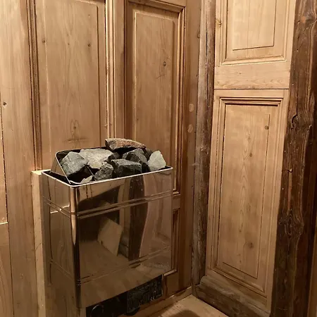 In Schoener Atelierwohnung Mit Garten Und Werkstattsauna * Dresden