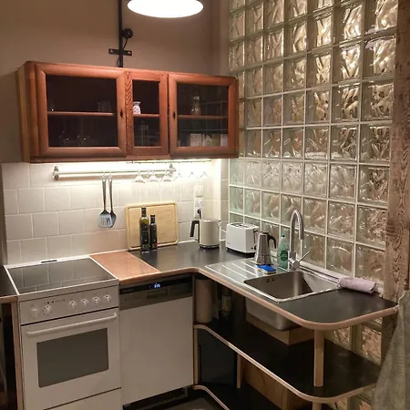 In Schoener Atelierwohnung Mit Garten Und Werkstattsauna Apartment Dresden