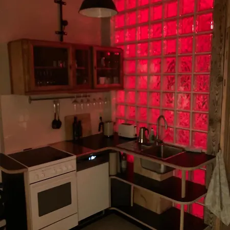 Apartment In Schoener Atelierwohnung Mit Garten Und Werkstattsauna Dresden