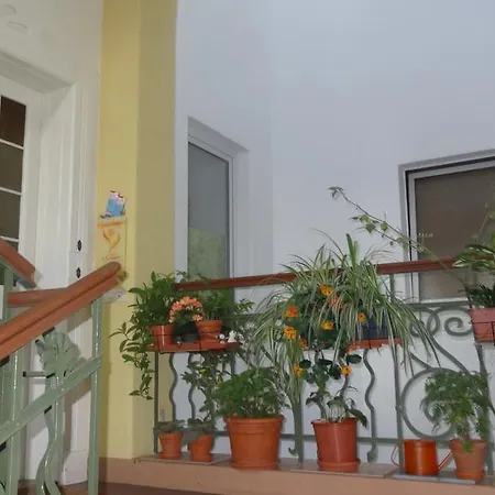 Private Gastezimmer Bei Ila Zimmerling Homestay Dresden