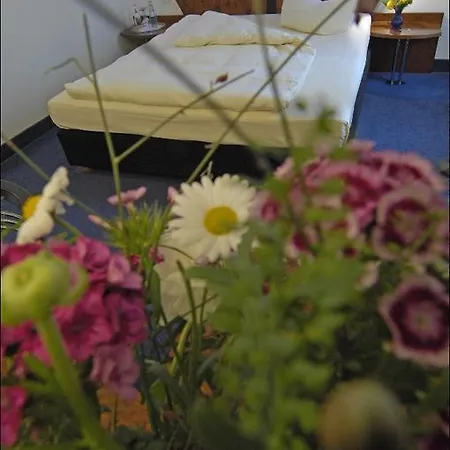 Hotel Landidyll Baumwiese 4*