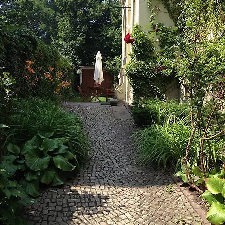 Sommerschuh Dresden