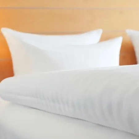 Hotel Dorint 4*