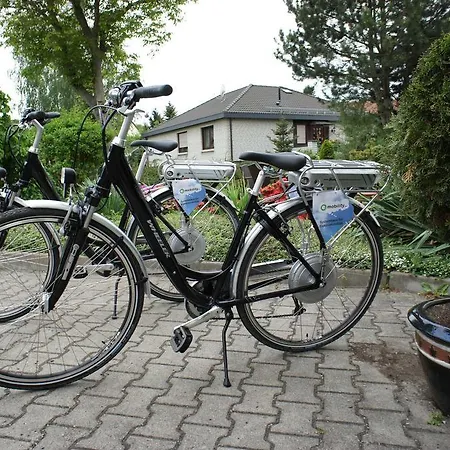 Pesterwitzer Siegel 3*