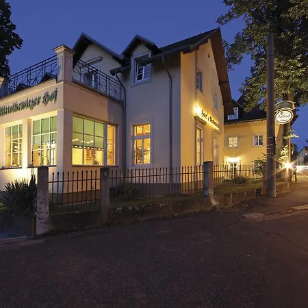 ホテル Alttolkewitzer Hof 3*