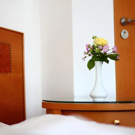 Loschwitz Hotel Dresden