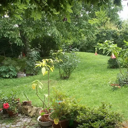 Guest house Dresdner Hohe Dresden
