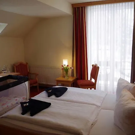Alttolkewitzer Hof 3* ドレスデン