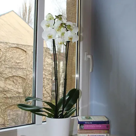 Appartement Galeriewohnung In Der Neustadt Dresde