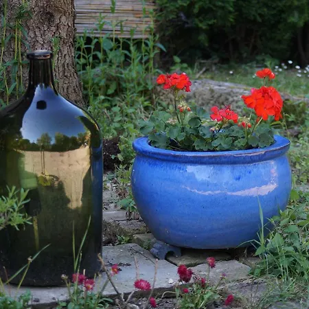 Toscana Δρέσδη