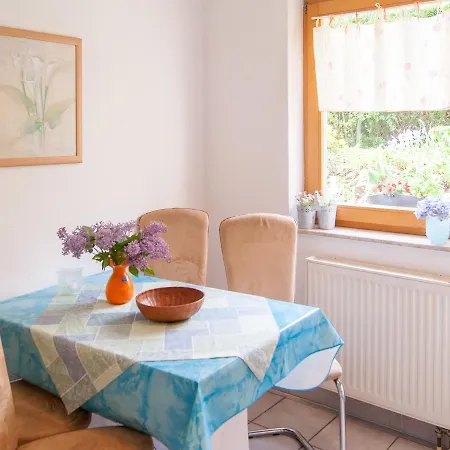 Ueber Den Daechern Von Apartment Dresden