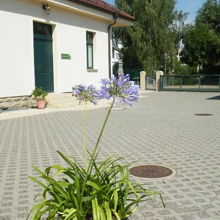 Ferienwohnung Kaitzbach Idylle Dresden