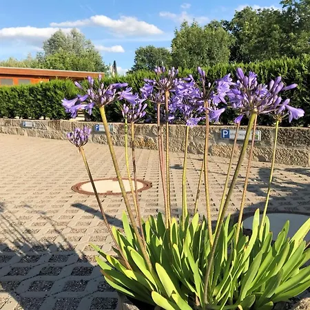 Ferienwohnung Kaitzbach Idylle Dresden