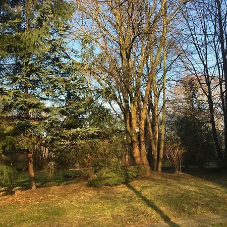 Apartment Whg./flat Am Grossen Garten In *