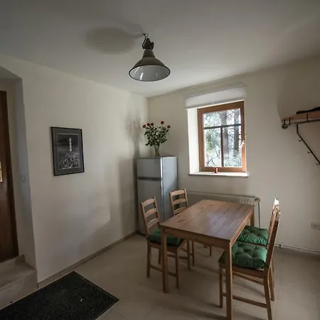 Apartment Am Wilden Mann Dresden