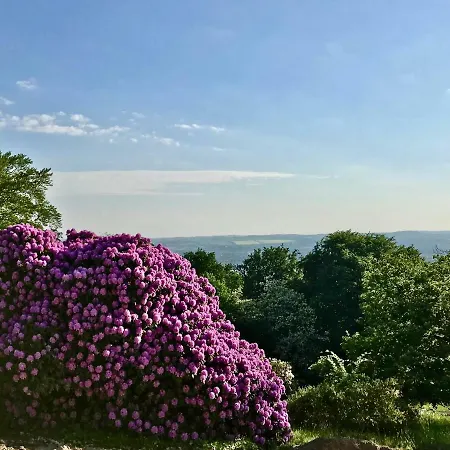 Appartement Ferienwohnung Natur Und Kunst Dresden