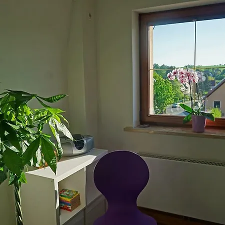 „zum Napoleonstein“ Apartment