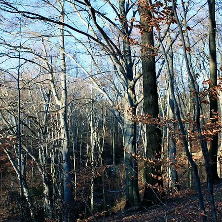 Apartment Ferienwohnung Natur Und Kunst