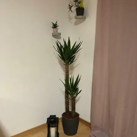 Modernes Neustadt Apartment *