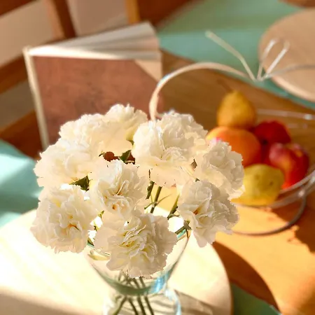 Bellavita Guest house