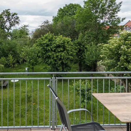 Hundemuede In Apartment Dresden