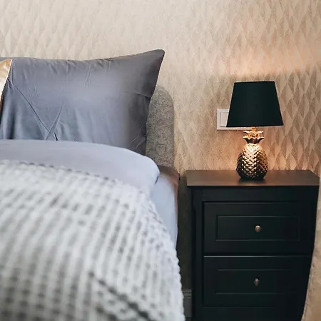 Tip! Modernes 90 Qm City-apartment Mit Stil & Komfort In Toplage Apartament Drezno