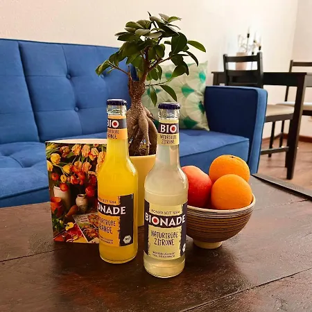 Traumhaftes Zwei-zimmer-apartment An Der Elbe Drážďany