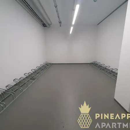 Apartment Pineapple Altstadt Iii - 91 Qm - 1x Free Parking *
