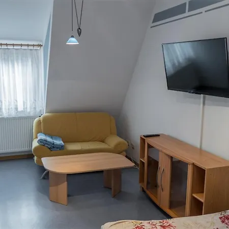 Hundemuede In * Dresden