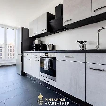 Pineapple Altstadt Iii - 91 Qm - 1x Free Parking Dresden