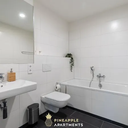 Pineapple Altstadt Iv - 91 Qm - 1x Free Parking Дрезден