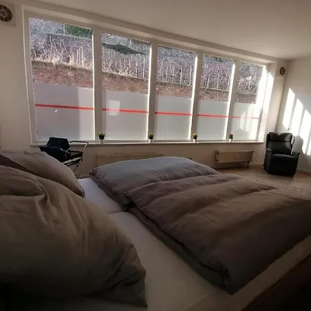 Apartment Ferienwohnung Neustadt *