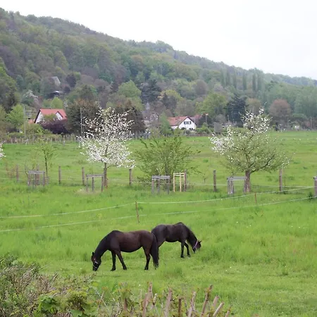 Stiegenstuebchen Am Weinberg Apartment *