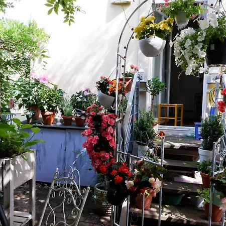 Elbe Garden Paradise Apartment Dresden