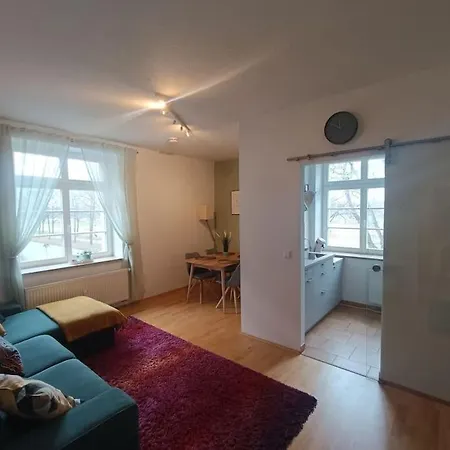 An Den Elbwiesen Neben Der Altstadt * 德累斯顿