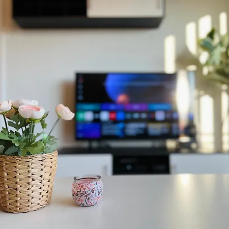 Stariva - Terrasse Ueber - Kaffeemachine - Netflix - Playstation - Brettspiele * Dresden