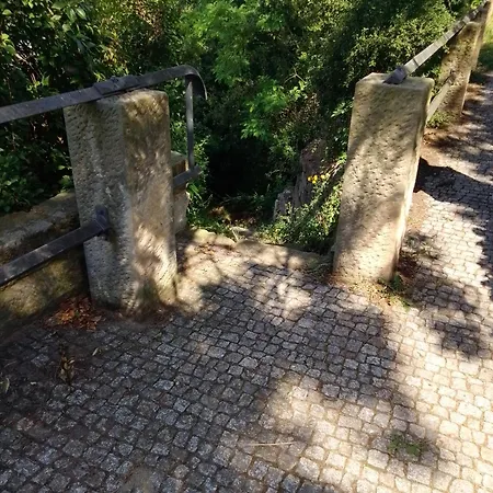 Privatunterkunft Dresden-entspannung-natur-trifft-2-staedte-am-fluss Dresden