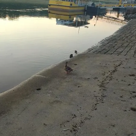 Privatunterkunft Dresden-entspannung-natur-trifft-2-staedte-am-fluss Dresden