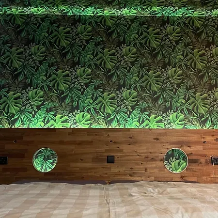 Sixty Two 62 Apartment